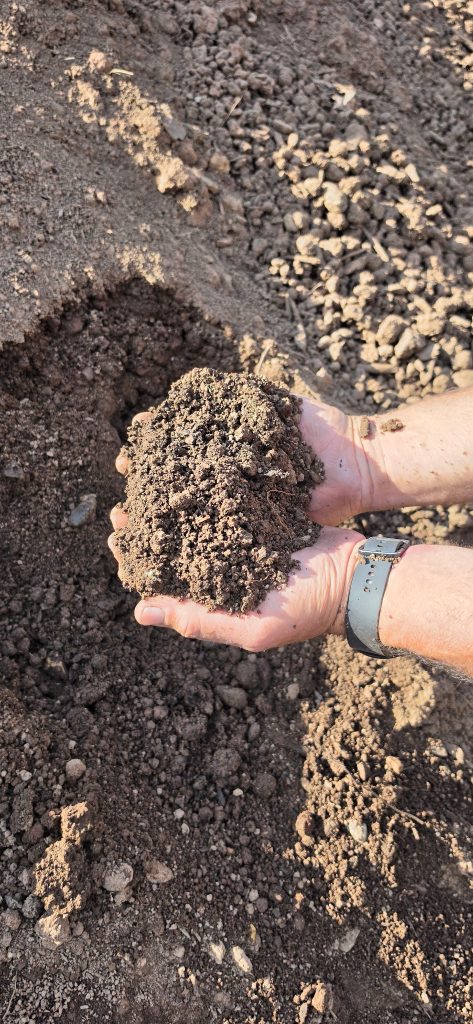 Premium Blend Top Soil--12 CU Yards